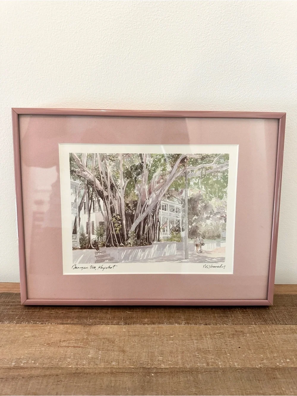 Pink Framed Mat Botanical Wall Art Robert E. Kennedy Iconic Banyan Tree Key West